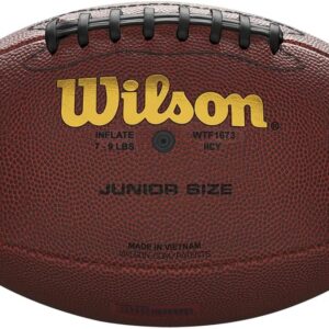 NFL _Wilson NFL Hayon de Football Composite Football, Official Size